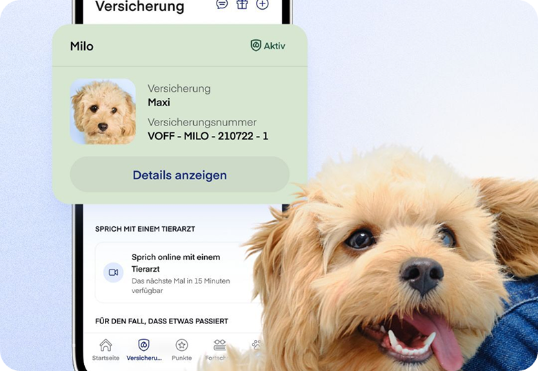 Versicherungsprofil von Hund Maxi