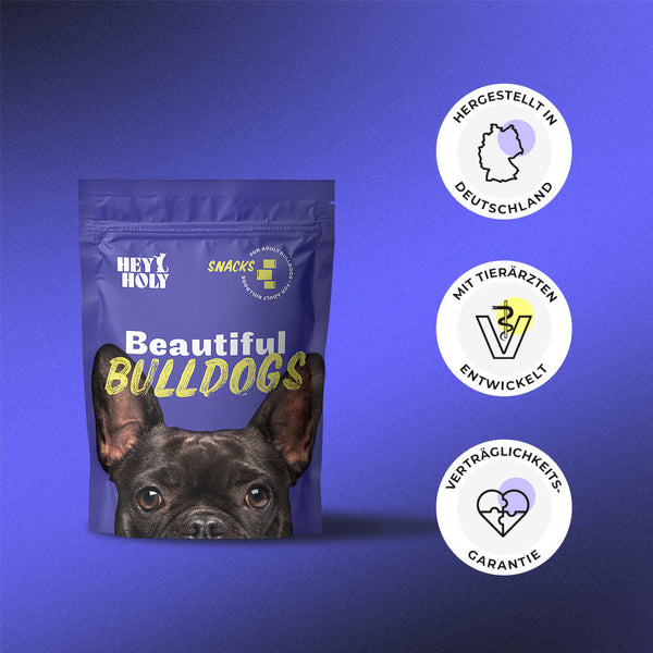 HEY HOLY Beautiful Bulldogs Snacks