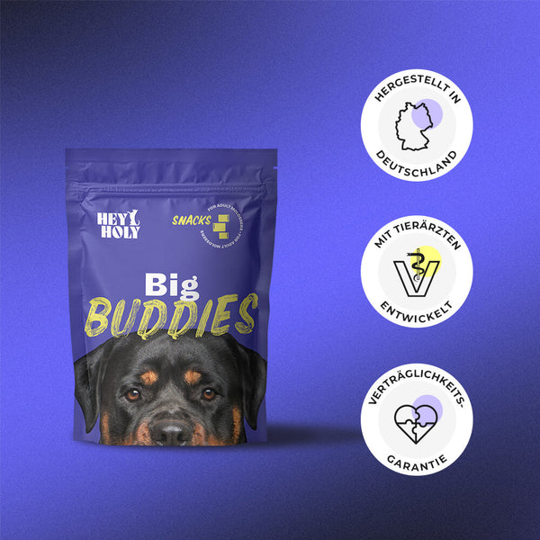 HEY HOLY Big Buddies Snacks Produktverpackung
