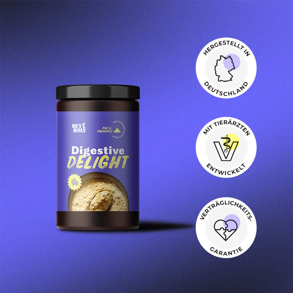 HEY HOLY Digestive Delight Magen-Darm-Kur für Hunde