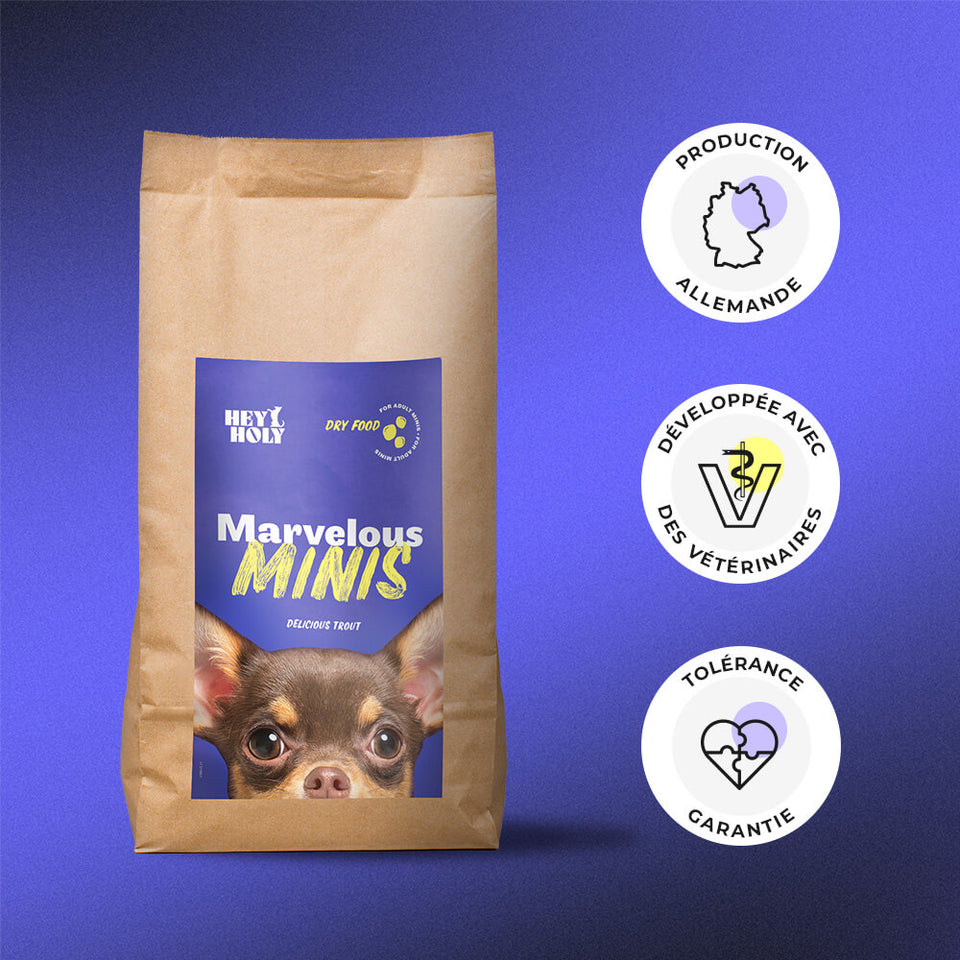 HEY HOLY Marvelous Minis Croquettes