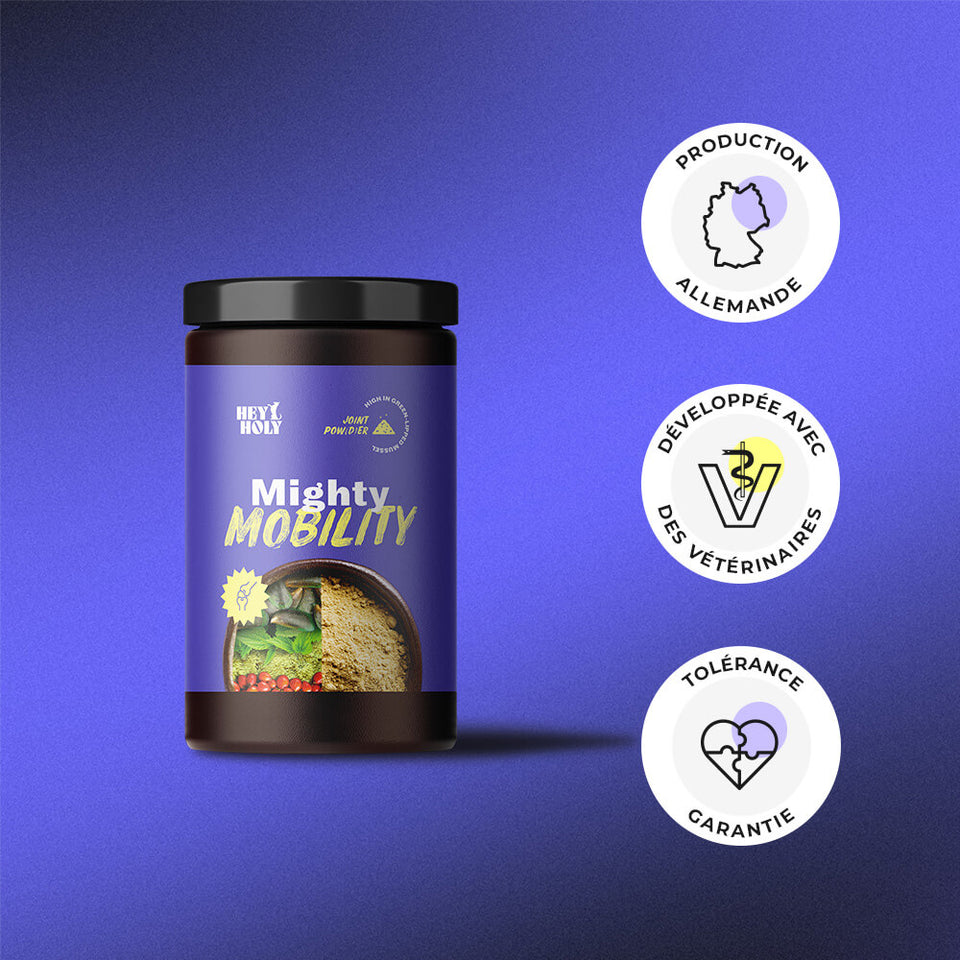HEY HOLY Mighty Mobility poudre pour les articulations des chiens