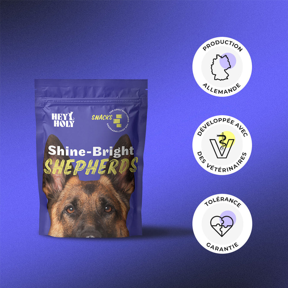 HEY HOLY Shine-Bright Shepherds Snacks