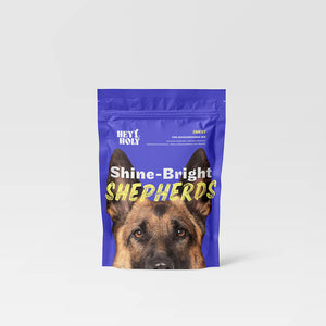Shine-Bright Shepherds - Friandises - Cadeau gratuit