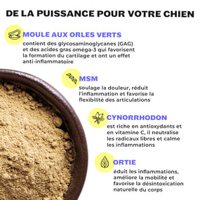 Autres ingrédients : prêle des champs, MSM, cynorhodon et ortie pour la santé articulaire