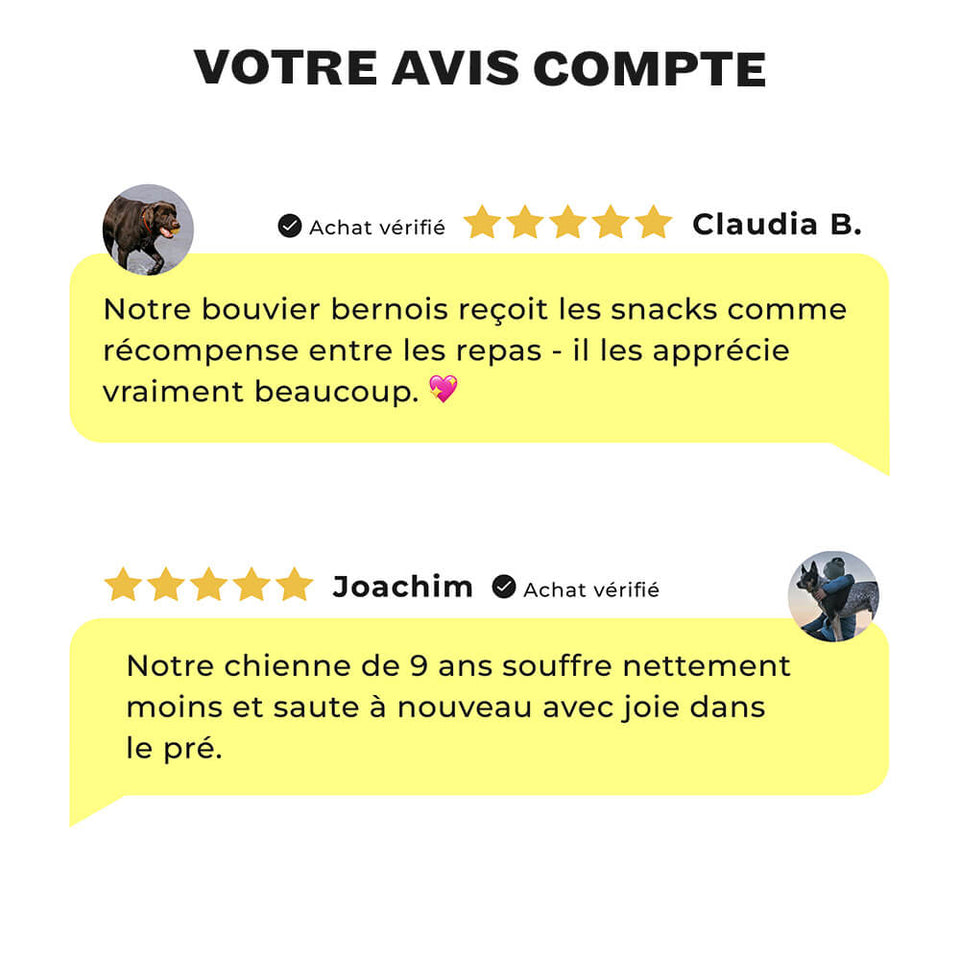 Avis clients sur Mighty Mobility : meilleure mobilité chez les chiens âgés