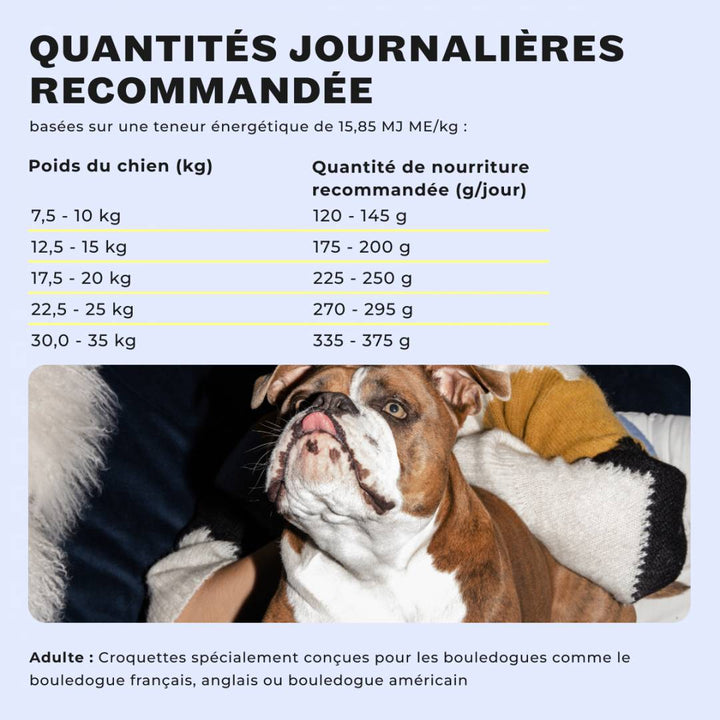 Empfohlene tägliche Futtermenge für französische, englische und amerikanische Bulldoggen