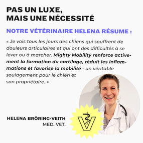 Vétérinaire recommande la poudre articulaire en cas de douleurs et de raideurs chez le chien