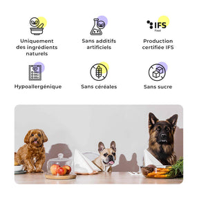 Trois chiens à table avec des icônes pour ingrédients naturels, sans céréales, sans sucre