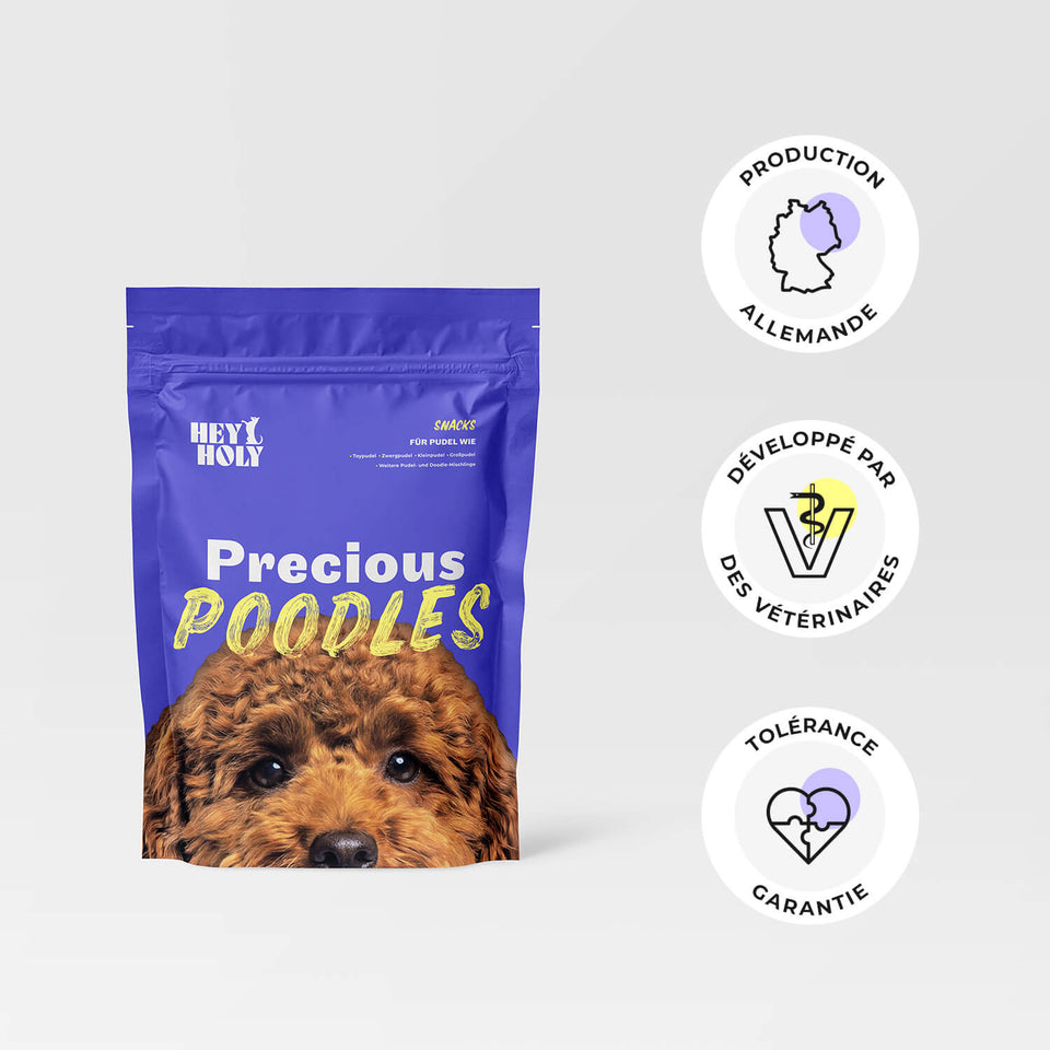 Tour de snacks HEY HOLY Precious Poodles empilés avec le texte « Des snacks tendres à la taille parfaite pour les caniches et les croisements Doodle »