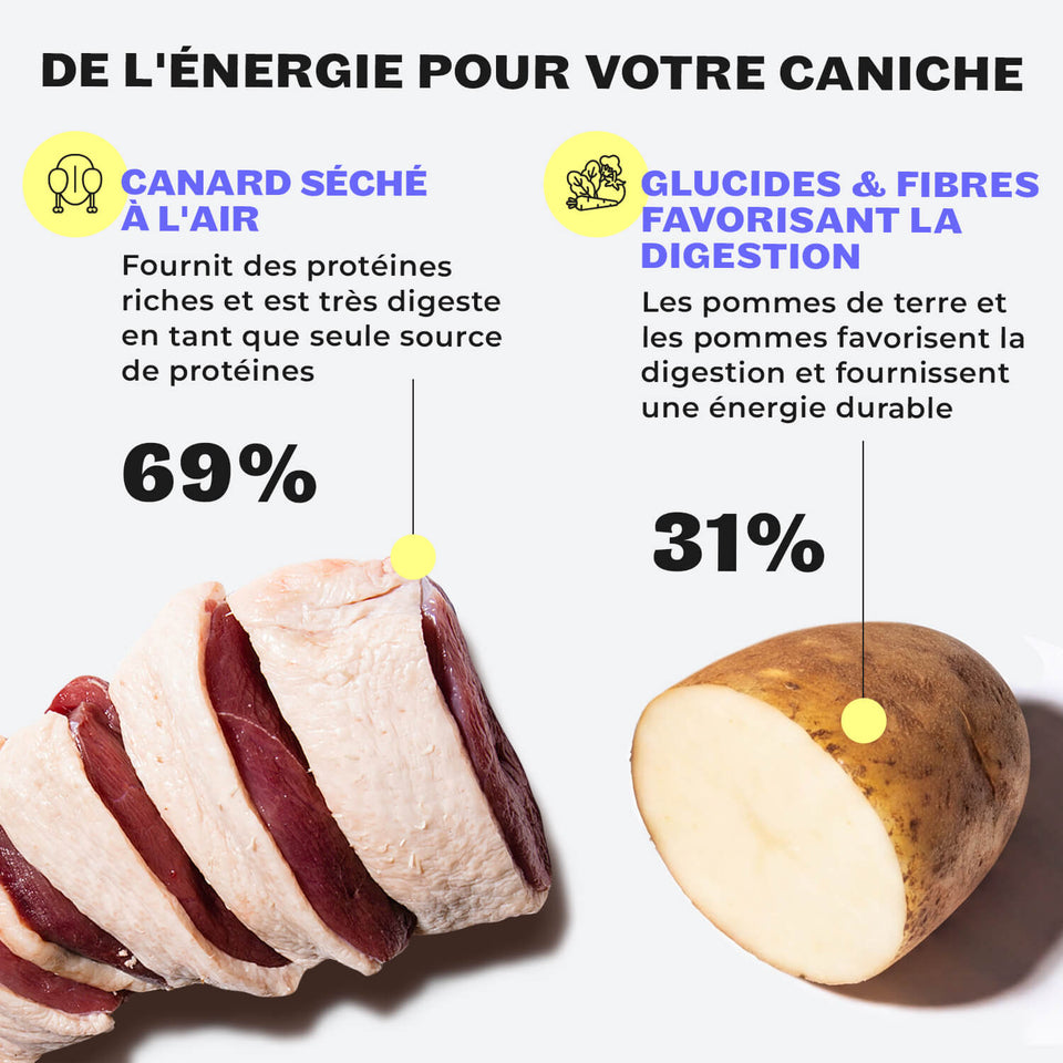 La vétérinaire Helena Bröring-Veith recommande les snacks HEY HOLY Precious Poodles à haute teneur en canard, sous le slogan « Parce qu'un caniche n'est pas un berger allemand »