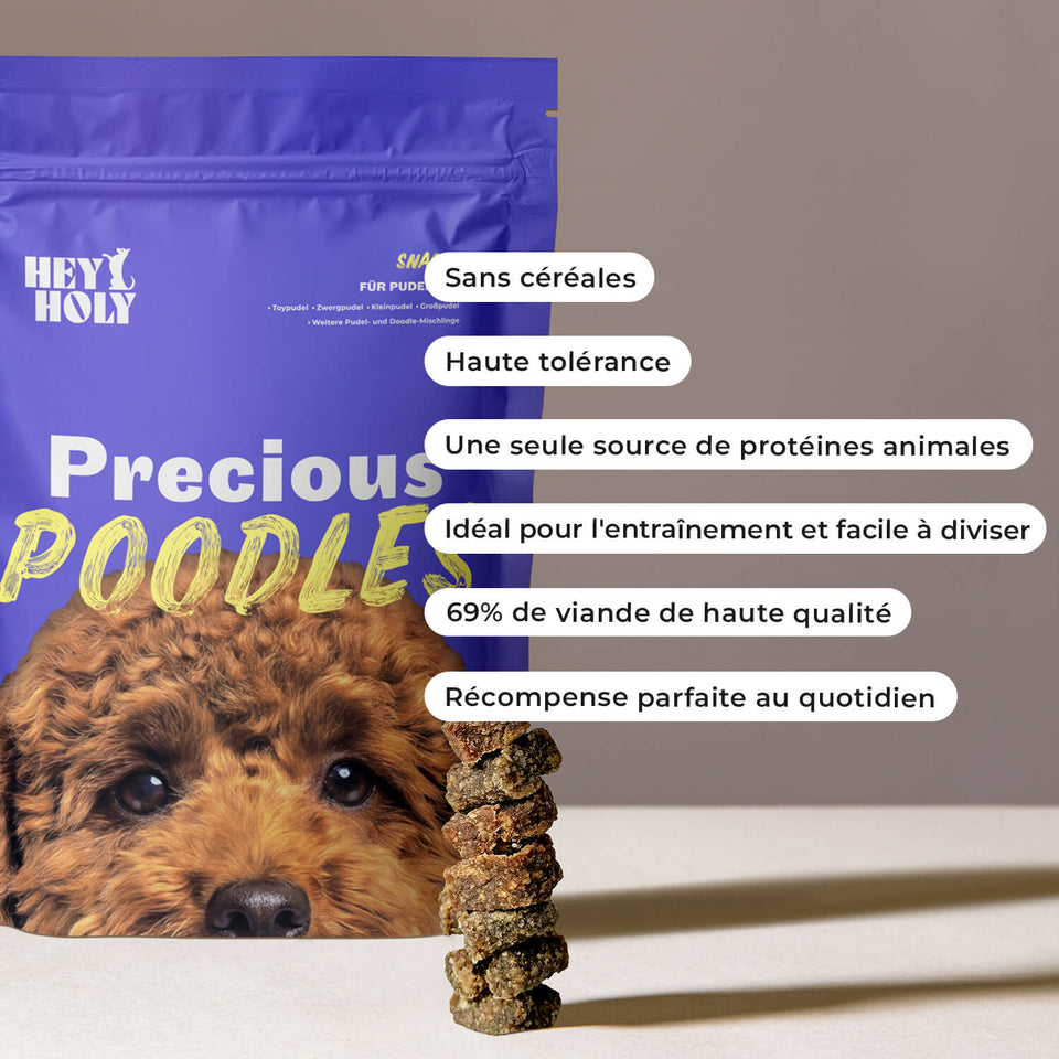Un caniche noir reçoit à la main un snack HEY HOLY Precious Poodles en récompense à la maison