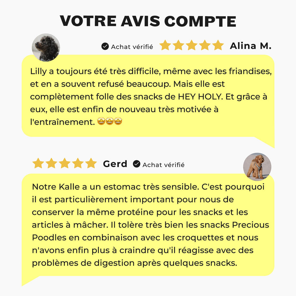 Avantages des snacks HEY HOLY Precious Poodles avec un caniche toy : ingrédients naturels, hypoallergéniques, développés par des vétérinaires, sans céréales ni sucre