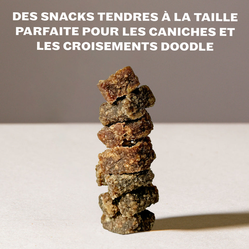 Sachet de snacks HEY HOLY Precious Poodles avec protéine unique de canard, fabriqué en Allemagne, développé par des vétérinaires