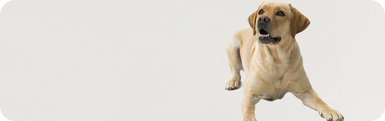 Wenig aktiv /-/ < 1 Stunde