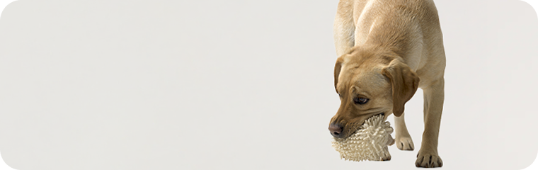 Moderat aktiv /-/ 1-2 Stunden