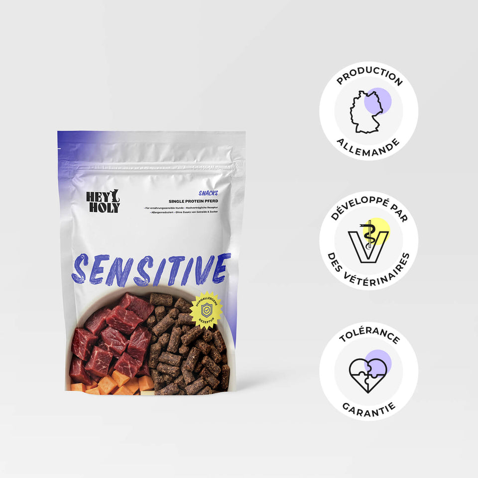 Tour de snacks HEY HOLY Sensitive empilés avec le texte « Des snacks tendres à la taille parfaite pour les chiens sensibles sur le plan nutritionnel »