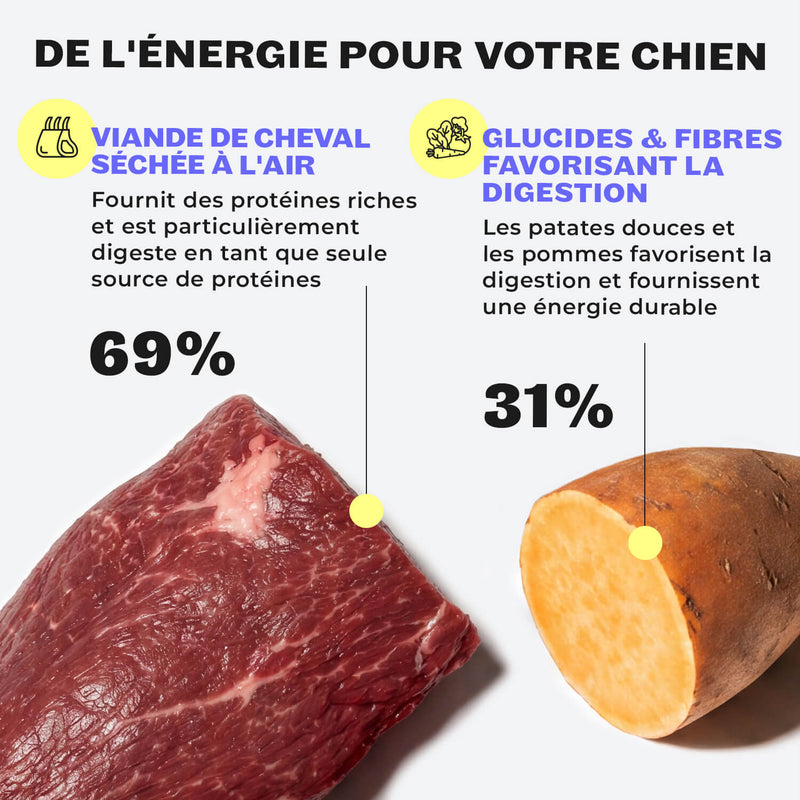 La vétérinaire Helena Bröring-Veith recommande les snacks HEY HOLY Sensitive avec 69% de viande de cheval pour les chiens sensibles sur le plan nutritionnel