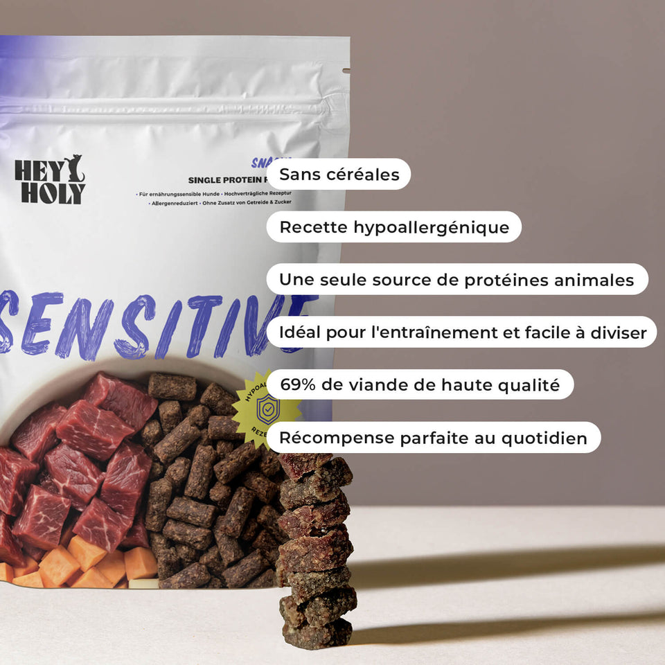Une femme donne à son golden retriever un snack HEY HOLY Sensitive en récompense dans la cuisine