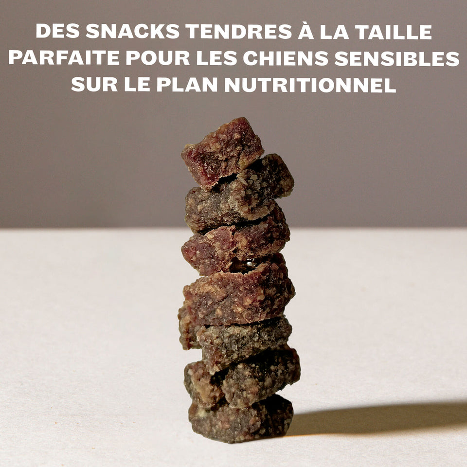Sachet de snacks HEY HOLY Sensitive avec protéine unique de cheval, fabriqué en Allemagne, développé par des vétérinaires